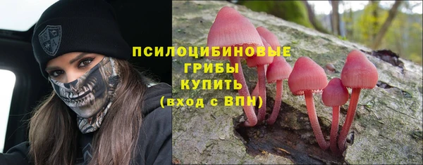 spice Абдулино