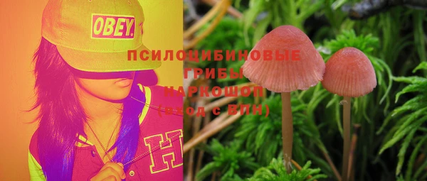 spice Абдулино