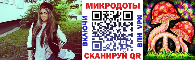 наркота  Калач  Псилоцибиновые грибы Psilocybine cubensis 