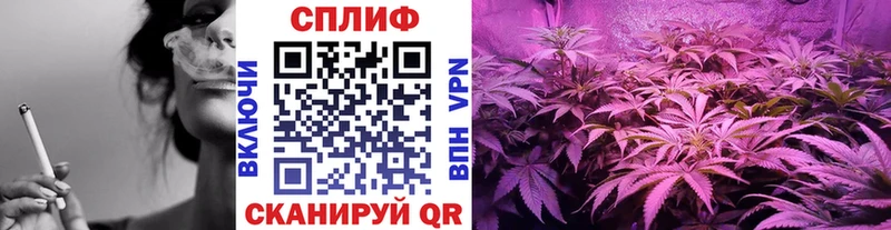 даркнет сайт  Калач  ОМГ ОМГ вход  Бошки Шишки ГИДРОПОН 
